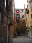 DSCF0003.JPG