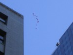 100_0046.JPG