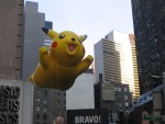 100_0071.JPG